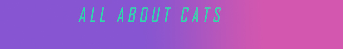 All About Cats 
